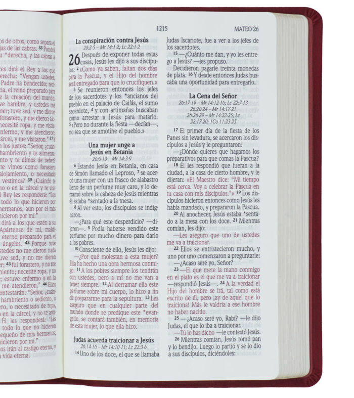 Biblia NVI Letra Grande Manual Vino 11pt cuero italiano
