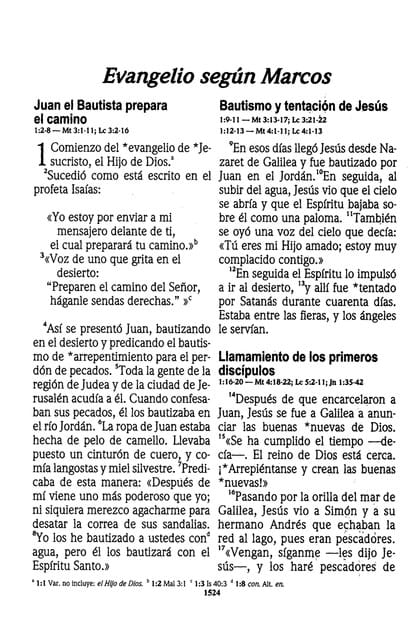 Biblia NVI Letra Grande Tapa Dura Vino