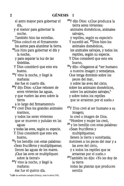 Biblia NVI Letra Grande Tapa Dura Vino