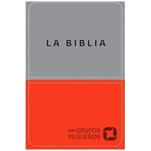Biblia Para Grupos Pequeños
