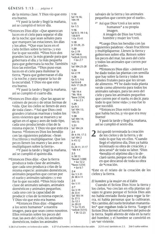 Biblia Referencia Ntv Ultrafina, L. Grande, Sentipiel Café