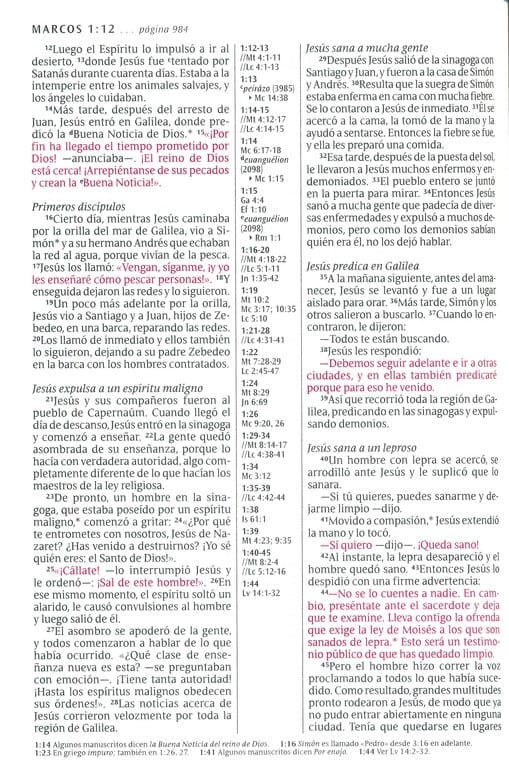 Biblia Referencia Ntv Ultrafina, L. Grande, Sentipiel Café