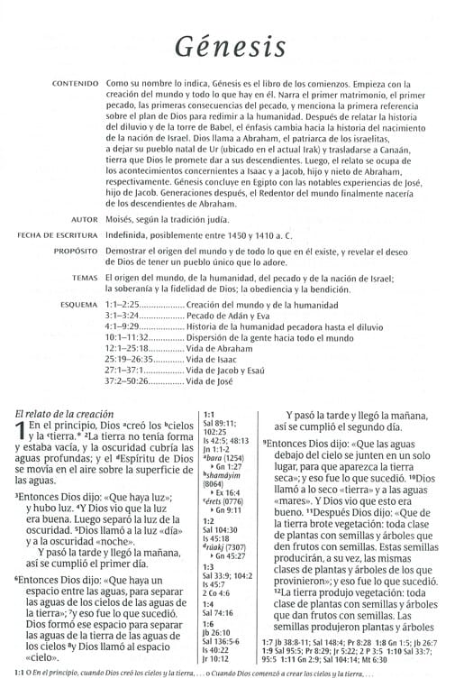 Biblia Referencia Ntv Ultrafina, L. Grande, Sentipiel Café