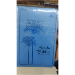 Biblia Reina Valera 1960, Letra Grande, Color Azul