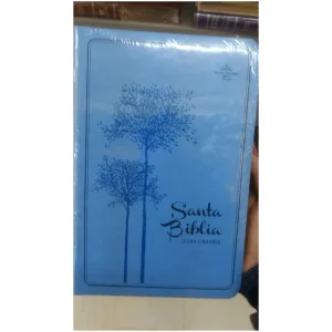Biblia Reina Valera 1960, Letra Grande, Color Azul