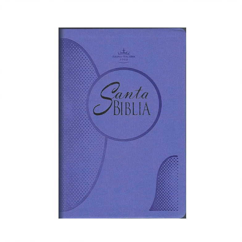 Biblia Reina Valera 1960 Letra Grande Color Lila