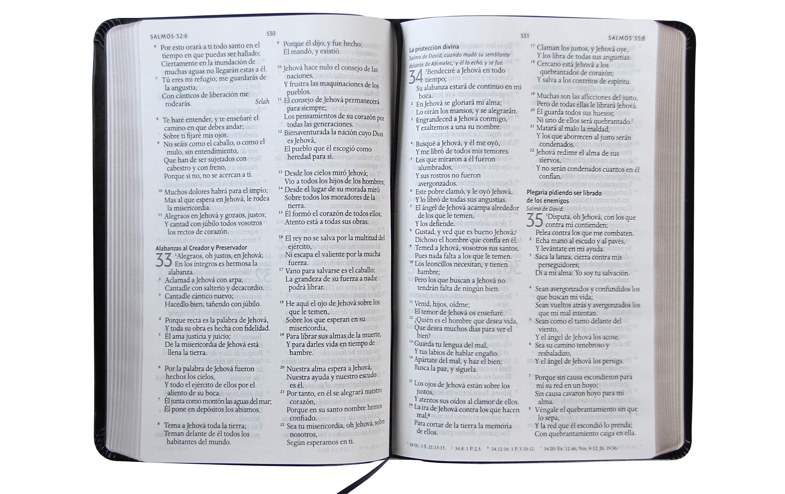 Biblia Reina Valera 1960 Letra Grande. Símil Piel Color Negro, Tamaño Manual