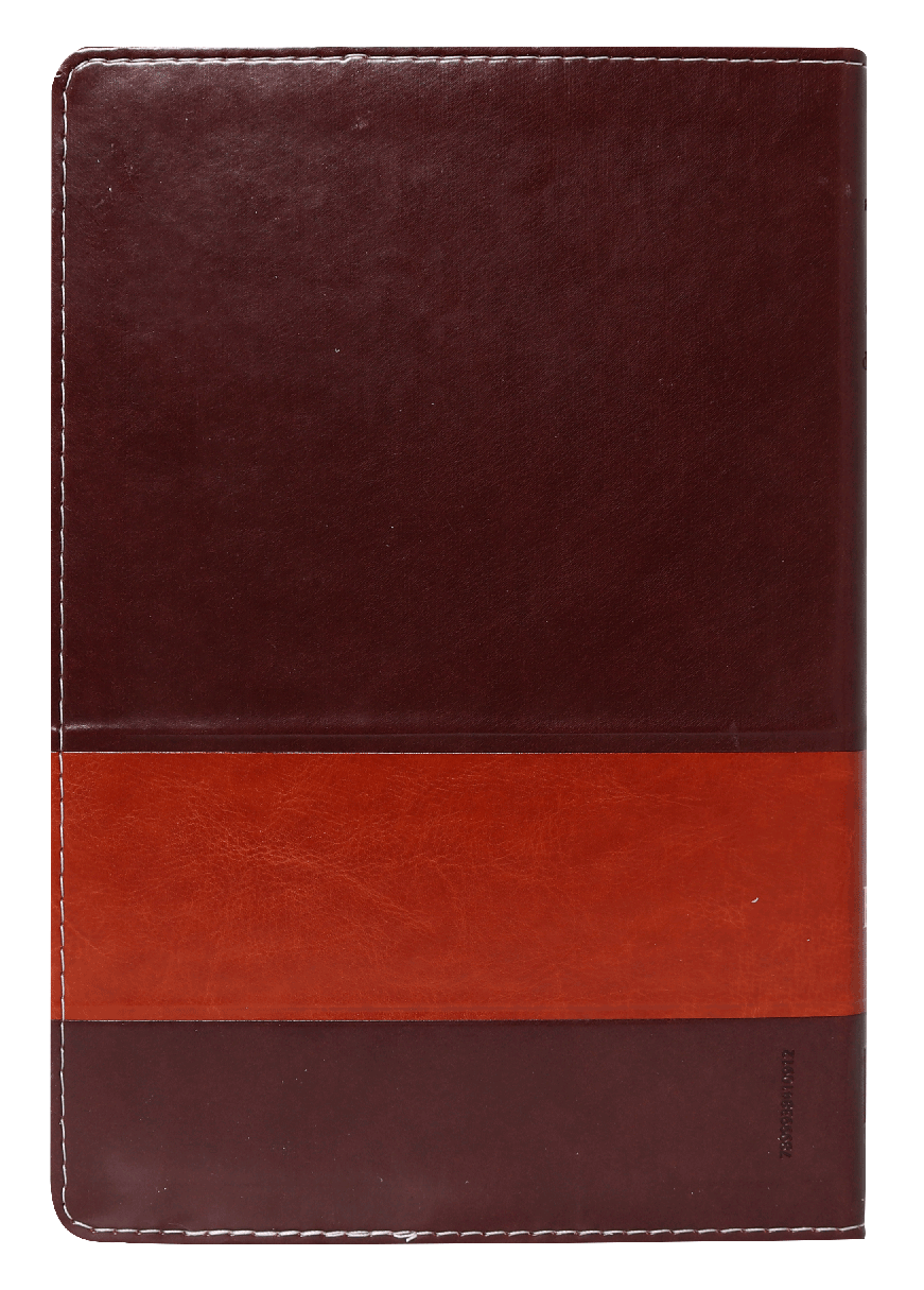 Biblia Reina Valera 1960 Letra Supergigante
