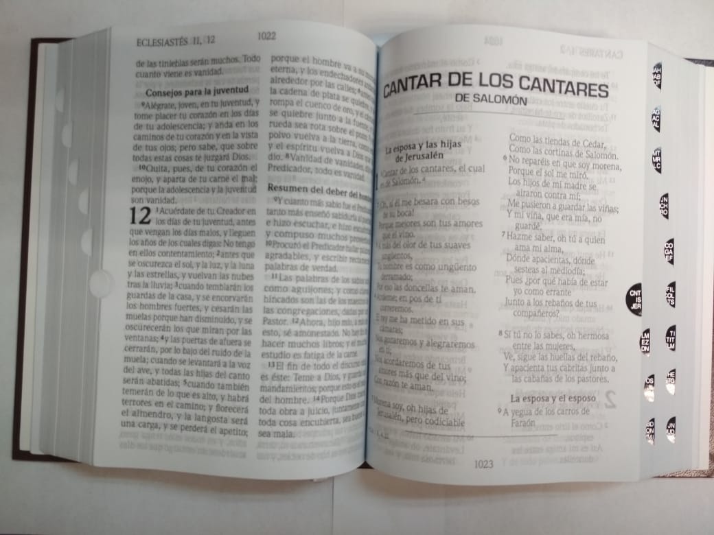 Biblia Reina Valera 1960, Mediana, Letra Grande, Café