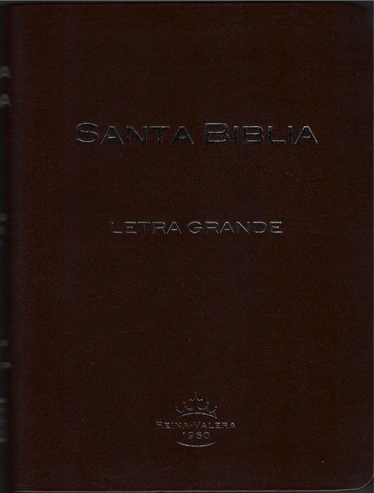 Biblia Reina Valera 1960 Mediana Letra Grande Con Indice