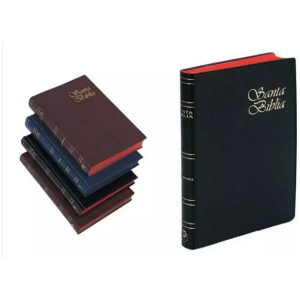 Biblia Reina Valera 1960 Rvr60 Mediana Vinil