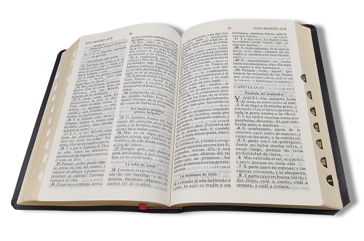 Biblia RV1909/1979 El maravilloso plan de Dios negro 8pt