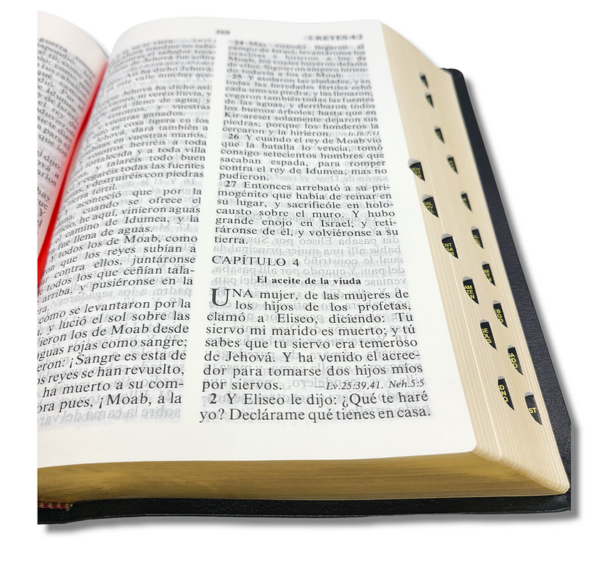 Biblia RV1909/1979 El maravilloso plan de Dios negro 8pt