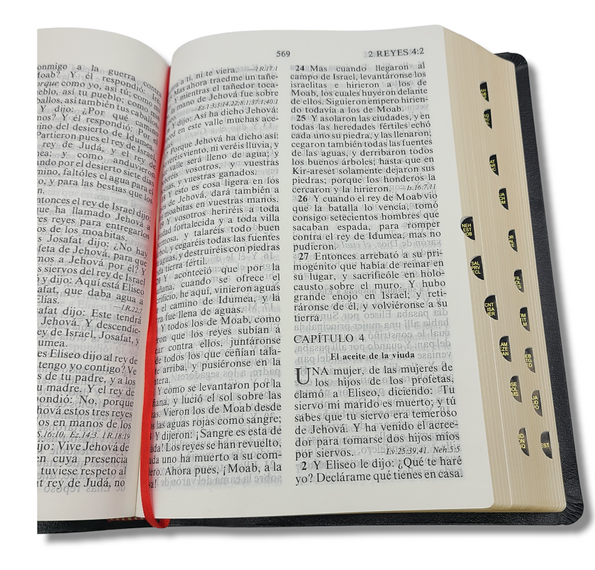 Biblia RV1909/1979 El maravilloso plan de Dios negro 8pt