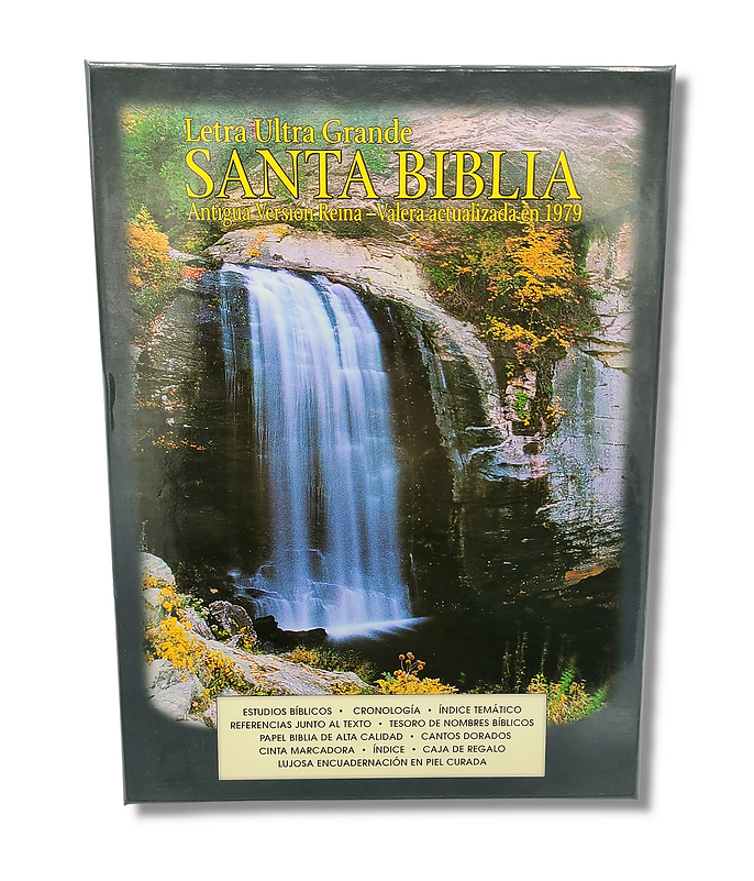 Biblia RV1909/1979 El maravilloso plan de Dios negro 8pt