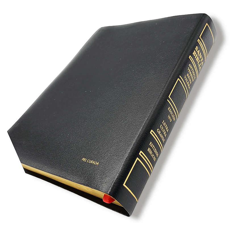 Biblia RV1909/1979 El maravilloso plan de Dios negro 8pt