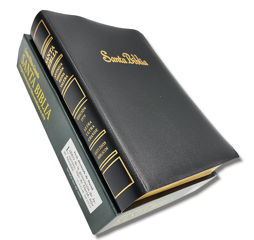 Biblia RV1909/1979 El maravilloso plan de Dios negro 8pt