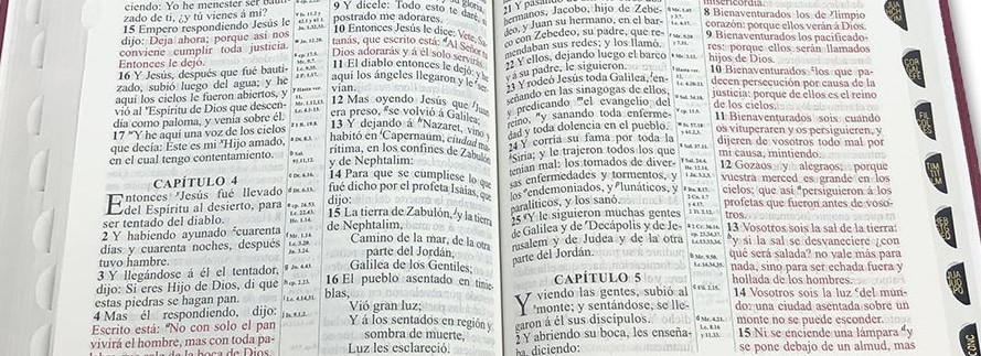 Biblia RV1909 con cordancia vinil marrón índice