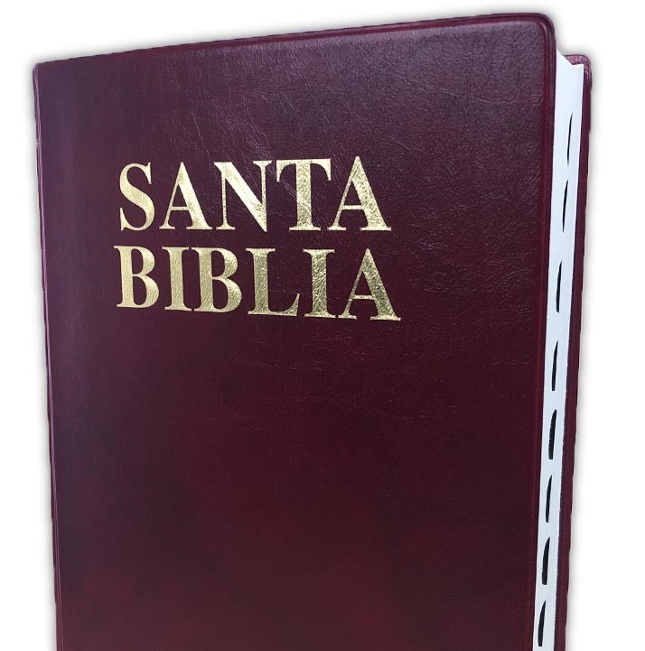 Biblia RV1909 con cordancia vinil marrón índice