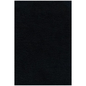 Biblia RV1960 Ultrafina Letra Grande Negro dos colores