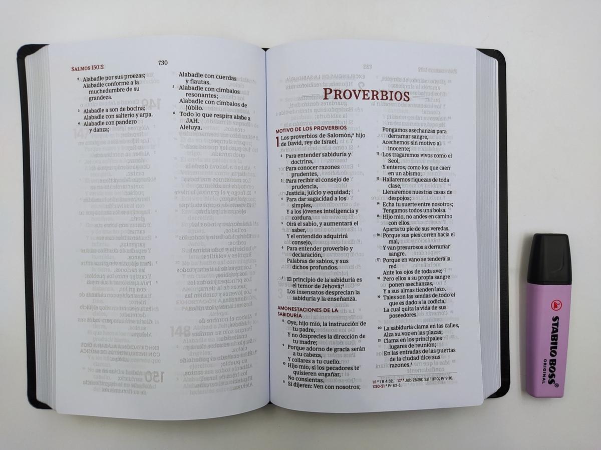 Biblia RV1960 Ultrafina Letra Grande Negro dos colores