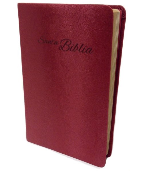 Biblia RVA2015 rojiza piel europea
