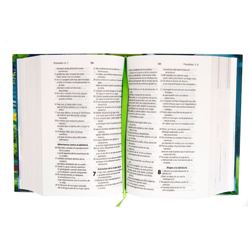Biblia RVC023 Ilustrada Valientes con Jesús tapa dura