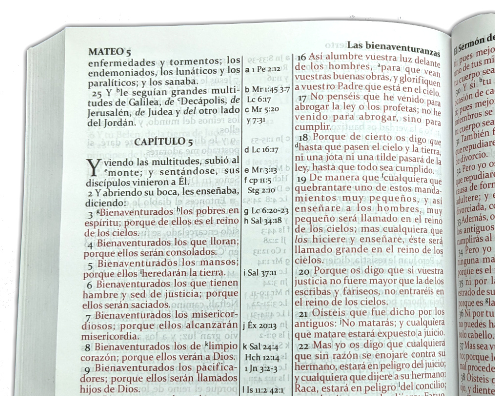 Biblia RVG 2010 rustica 2592