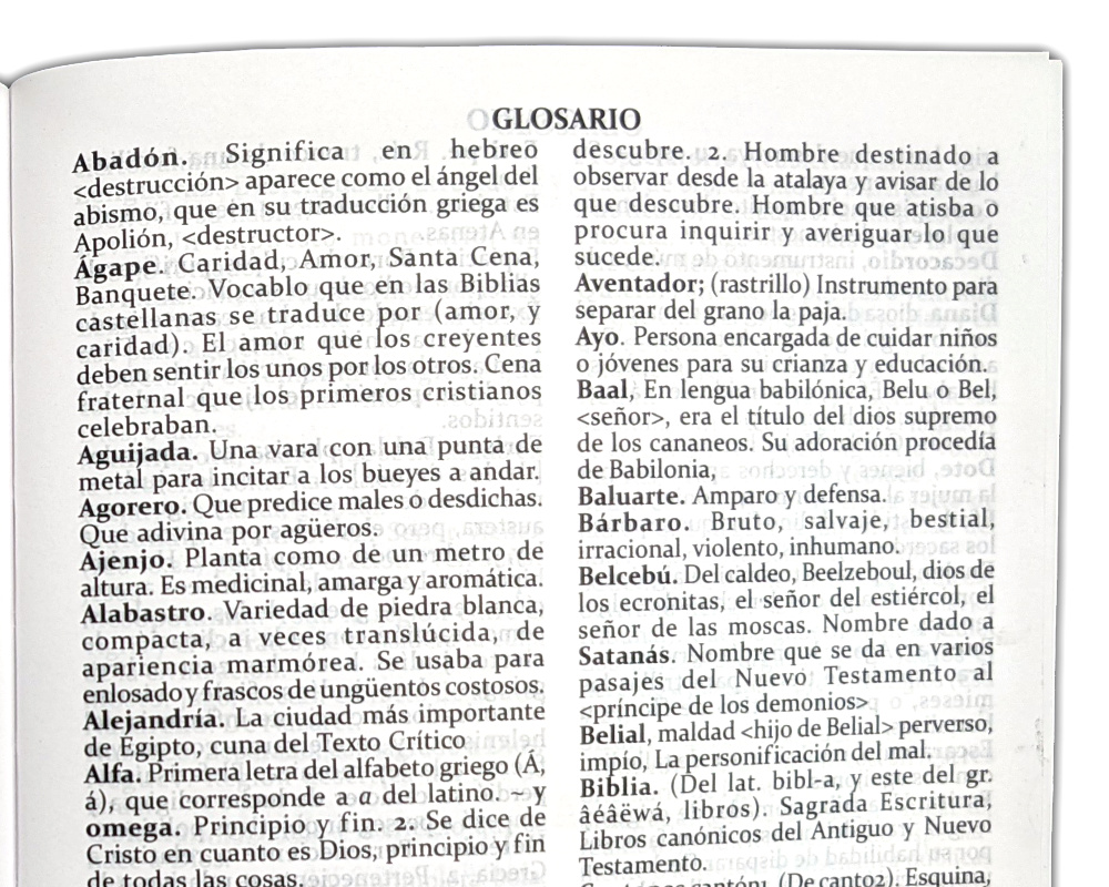 Biblia RVG 2010 rustica 2592