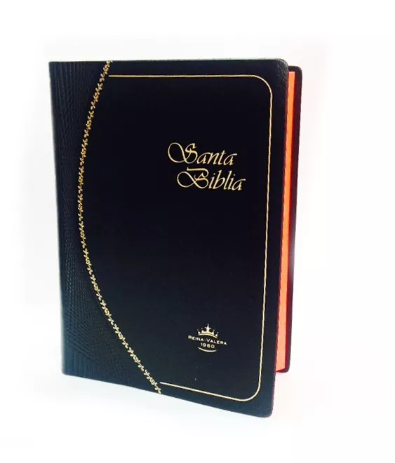 Biblia RVR 1960 vinil negro RVR022c