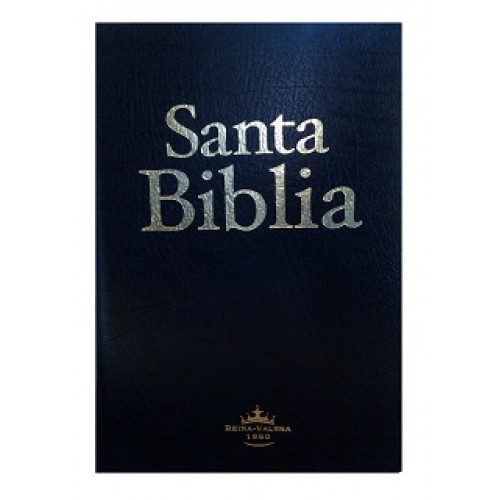 Biblia RVR065 mediana economica negro RVR065e