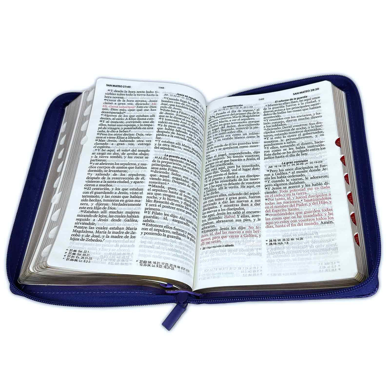 Biblia RVR1960 Clásica bitono lila morado manual índice cierre 12.5pt 065PJR