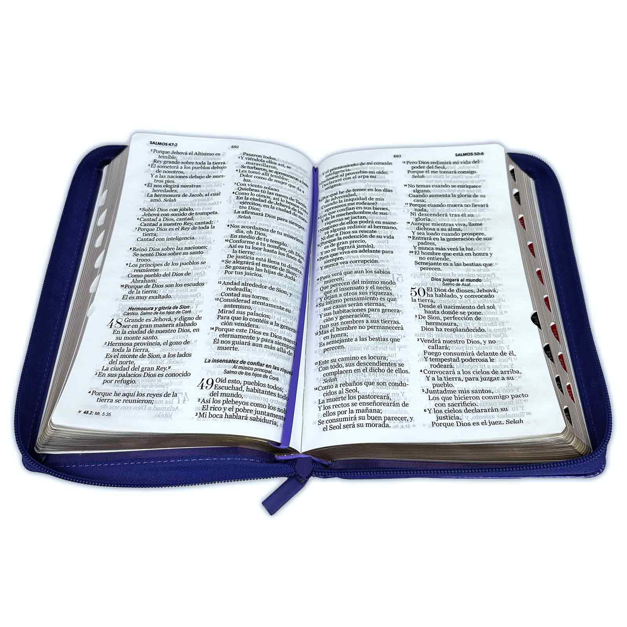Biblia RVR1960 Clásica bitono lila morado manual índice cierre 12.5pt 065PJR
