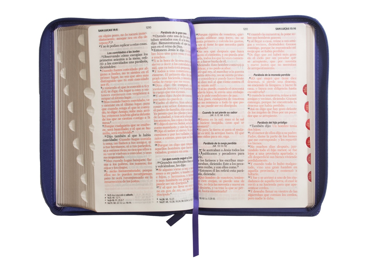 Biblia RVR1960 Clásica morada índice cierre 12.5pt 065PJR