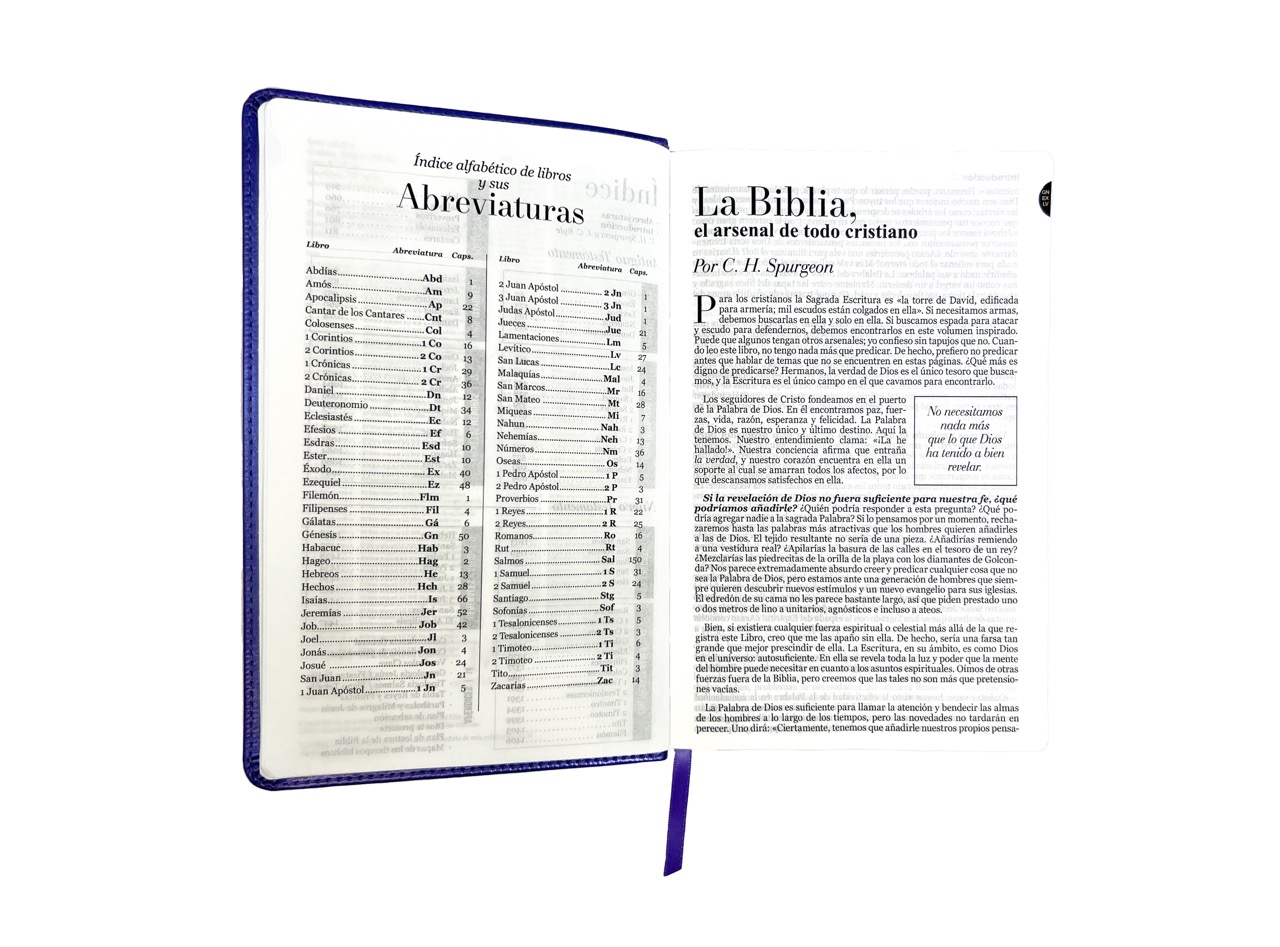 Biblia RVR1960 Clásica morada índice cierre 12.5pt 065PJR