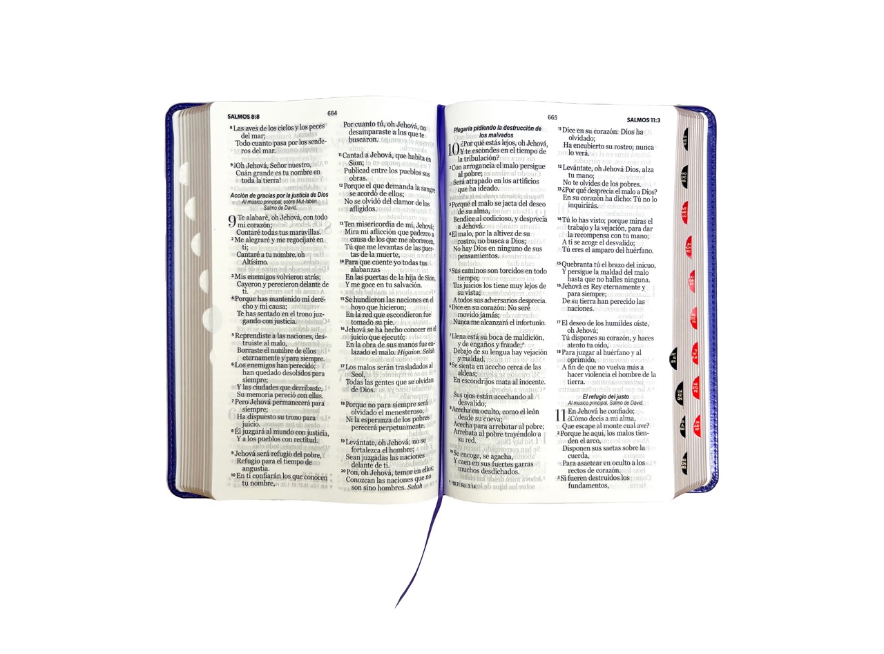 Biblia RVR1960 Clásica morada índice cierre 12.5pt 065PJR