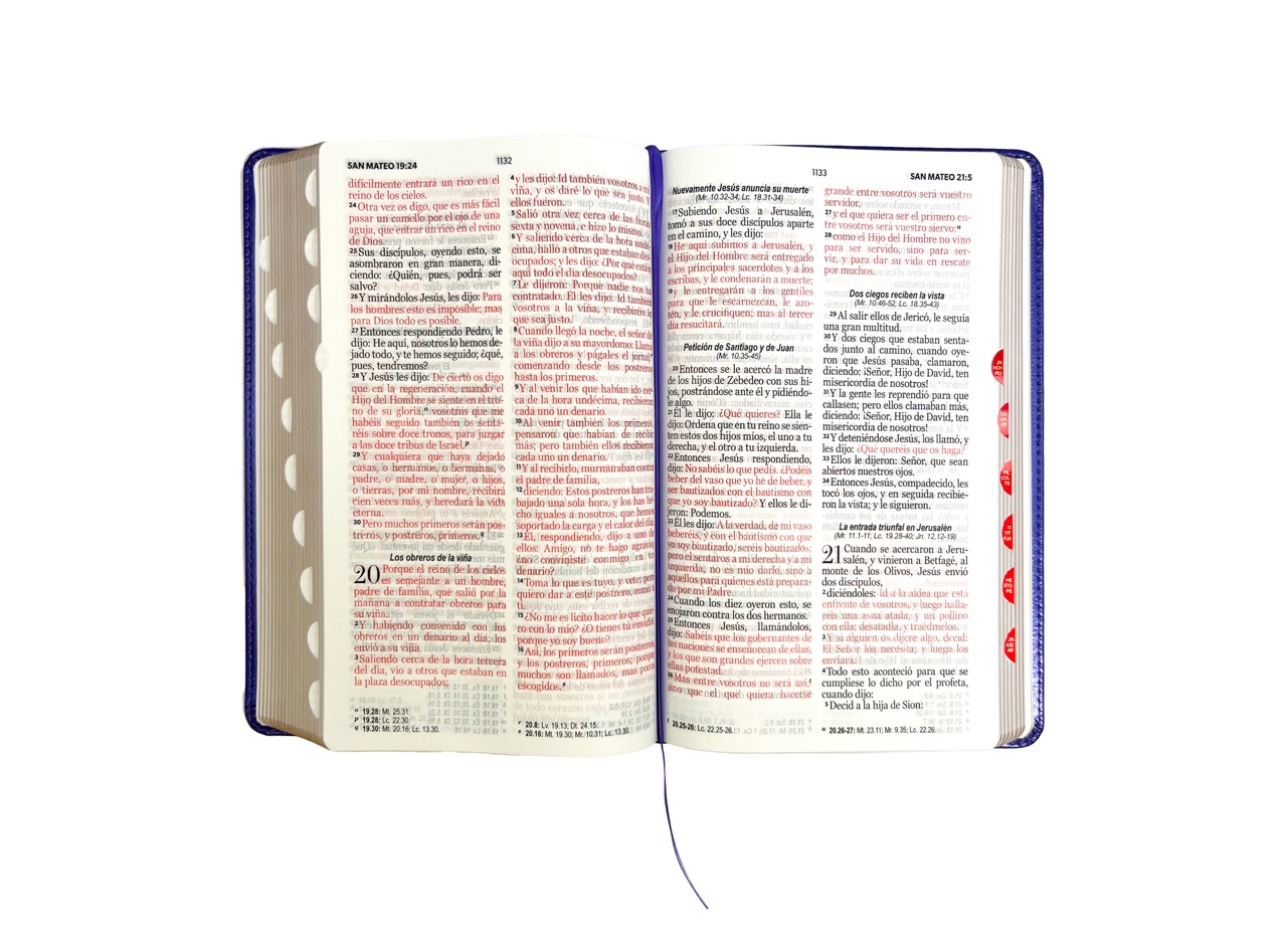 Biblia RVR1960 Clásica morada índice cierre 12.5pt 065PJR