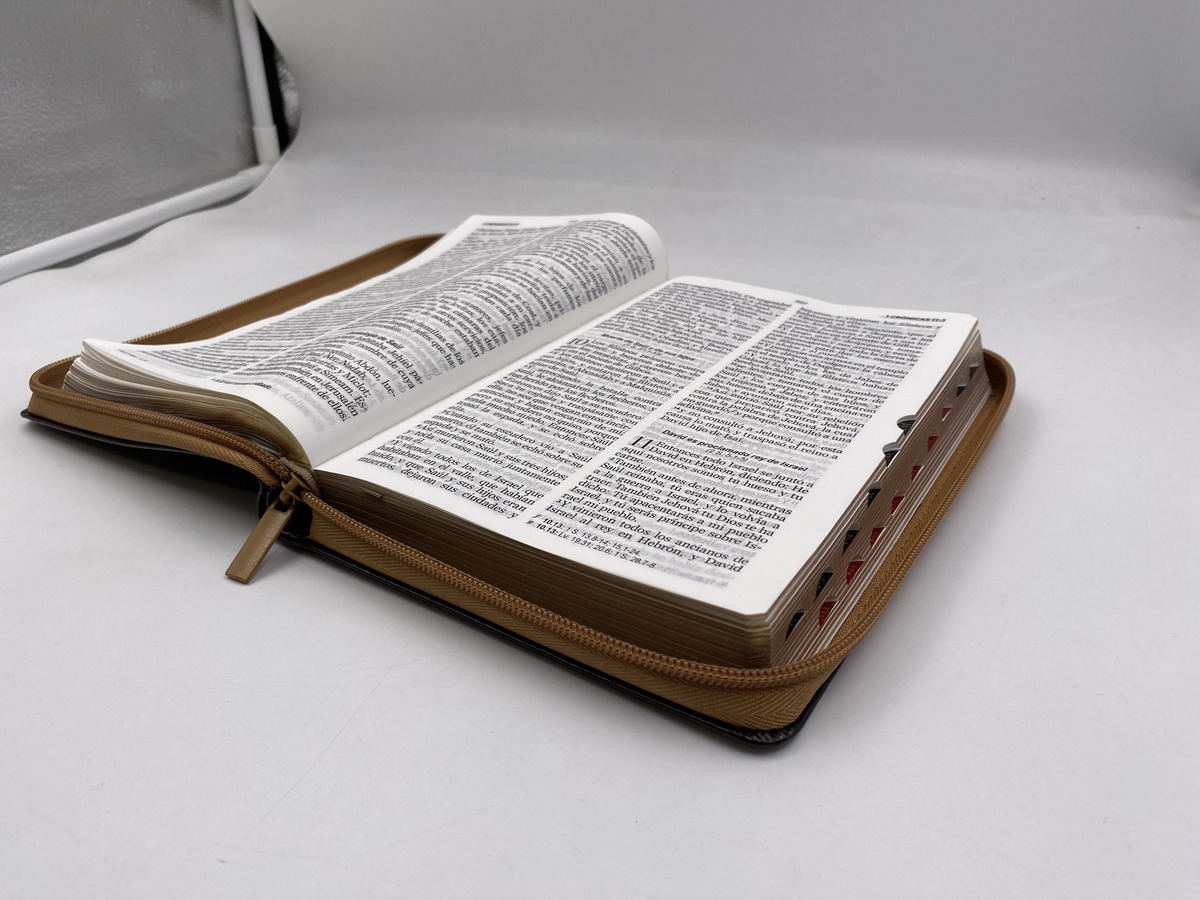 Biblia RVR1960 Classic Abba café/cafe índice cierre 12.5pt 065PJR