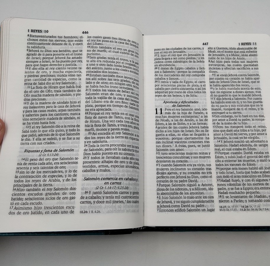 Biblia RVR1960 Compacta Turquesa Marrón 10pt 045LGPJR