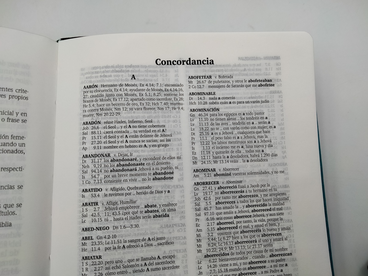Biblia RVR1960 Compacta Turquesa Marrón 10pt 045LGPJR