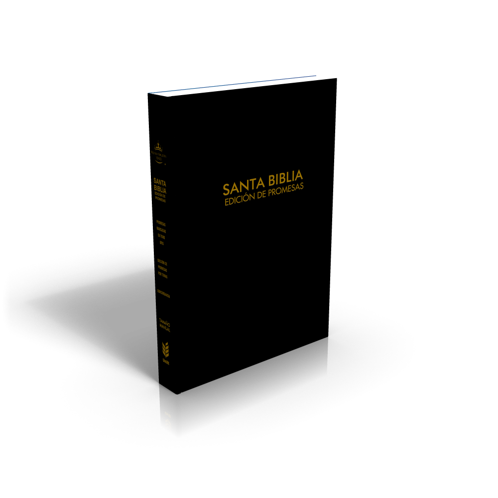 Biblia RVR1960 de Promesas Letra Grande Manual 12pt