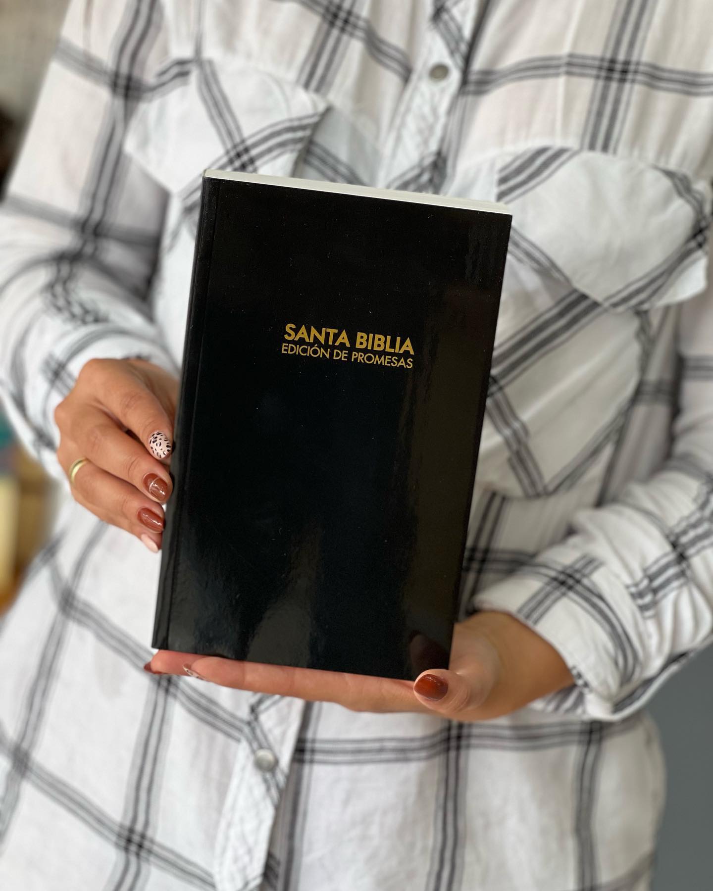 Biblia RVR1960 de Promesas Letra Grande Manual 12pt