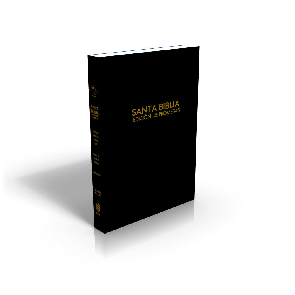 Biblia RVR1960 de Promesas Letra Grande Manual 12pt
