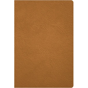 Biblia RVR1960 Deluxe Caramelo Piel