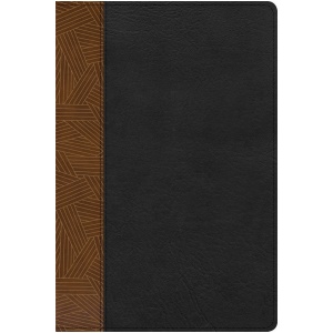 Biblia RVR1960 Estudio Arcoiris Tostado/Negro Símil Piel índice 10pt