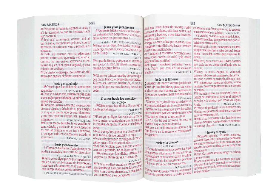 Biblia RVR1960 Grande Letra Gigante Rústica Negro Marrón