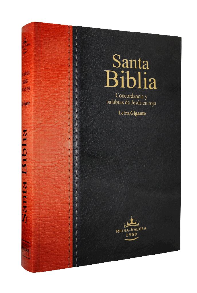 Biblia RVR1960 Grande Letra Gigante Rústica Negro Marrón