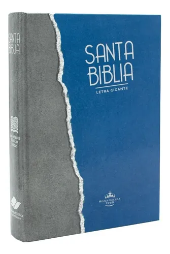 Biblia RVR1960 Letra Gigante Pasta Dura Gris Azul QR RVR083cLGiPJR