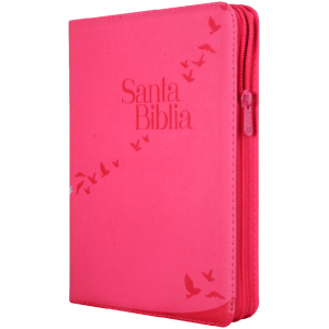 Biblia RVR1960 Letra Gigante Rosa aves RVR086cZLGiPJR