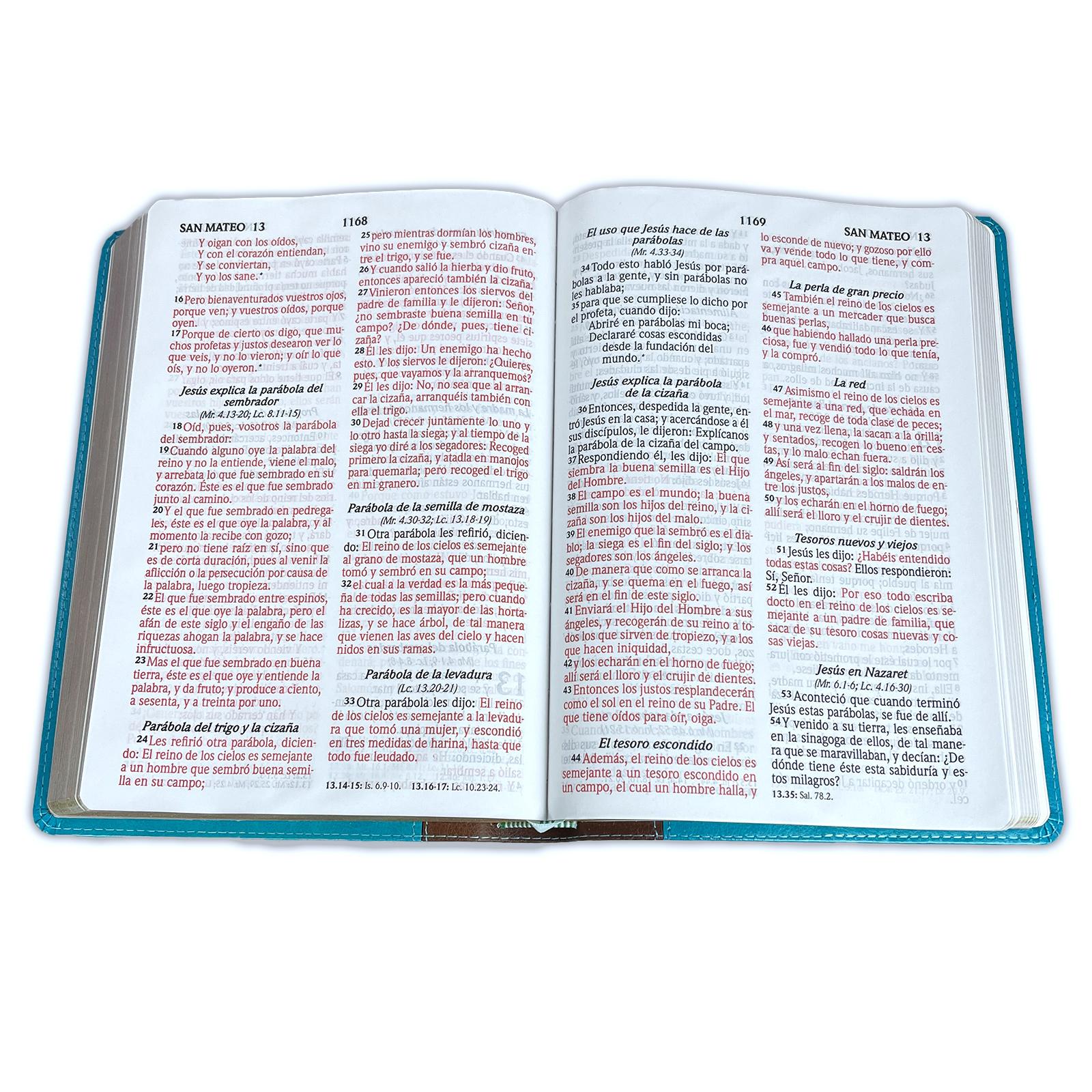 Biblia RVR1960 Letra Gigante Turquesa Marrón 14 pt